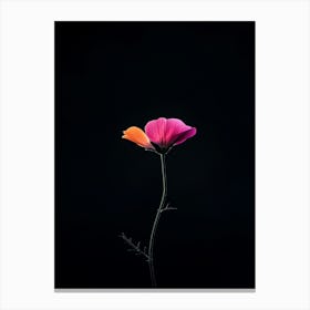 Single Flower 10 Canvas Print