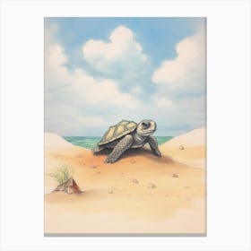 Cute Sea Turtle On The Beach Drawing 6 Canvas Print