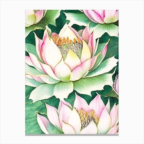 Lotus Flower Repeat Pattern Watercolour Ink Pencil 2 Canvas Print