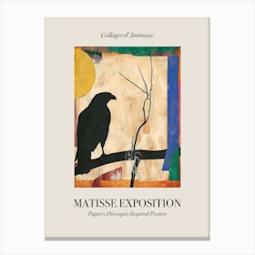 Hawk 3 Matisse Inspired Exposition Animals Poster Canvas Print