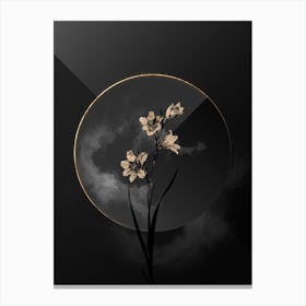 Shadowy Vintage Painted Lady Botanical in Black and Gold n.0171 Canvas Print