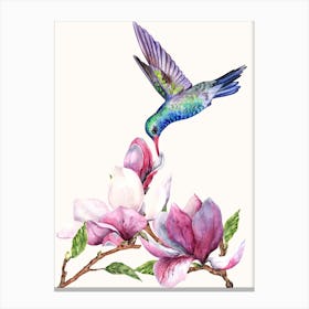 Hummingbird On Magnolia Flower Canvas Print
