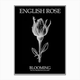 English Rose Blooming Line Drawing 3 Poster Inverted Canvas Print