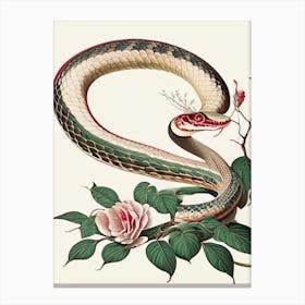 Chinese Cobra Snake 1 Vintage Canvas Print