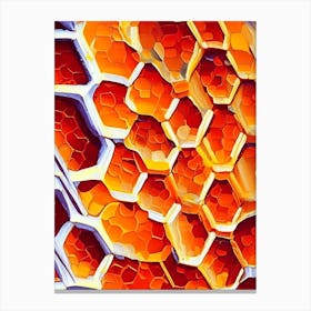 Close Up Of Honeycomb  1 Painting Canvas Print