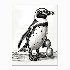 African Penguin Balancing Eggs 3 Canvas Print