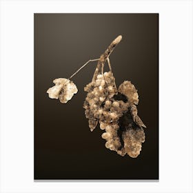 Gold Botanical Grape Vine on Chocolate Brown n.2864 Canvas Print