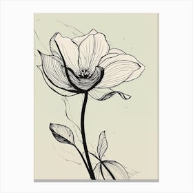 Lilies Line Art Flowers Illustration Neutral 17 Canvas Print