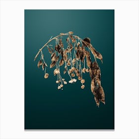 Gold Botanical Visciola Cherries on Dark Teal n.2108 Canvas Print