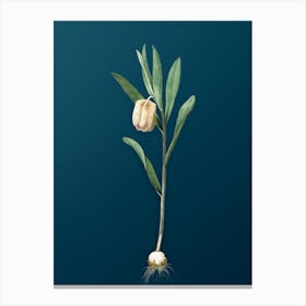 Vintage Fritillaria Latifolia Botanical Art on Teal Blue n.0425 Canvas Print