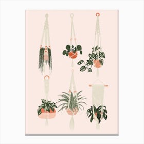 Hanging Houseplants Print  Canvas Print