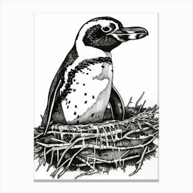 African Penguin Nesting 2 Canvas Print