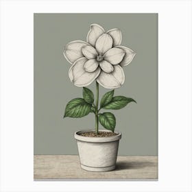 Magnolia 3 Canvas Print