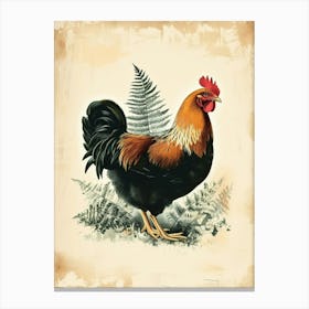 Vintage Illustration Hen And Chicken Fern 2 Canvas Print