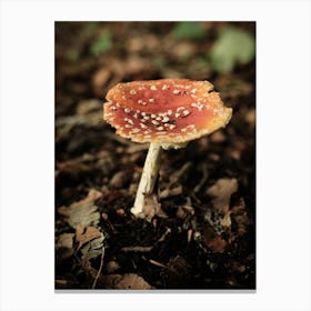 Red Mushroom // Nature Photography 1 1 Canvas Print