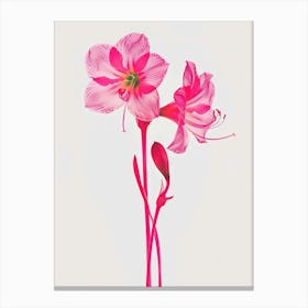 Hot Pink Amaryllis 1 Canvas Print