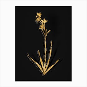 Vintage Bugle Lily Botanical in Gold on Black Canvas Print