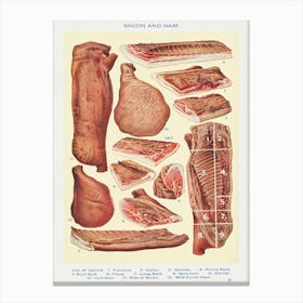 Bacon And Ham Side Of Bacon Canvas Print