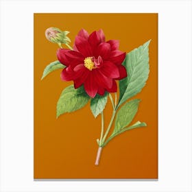 Vintage Double Dahlias Botanical on Sunset Orange n.0454 Canvas Print