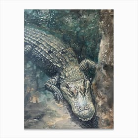 Alligator 24 Canvas Print