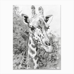 Zoo Austin Texas Black And White Drawing 4 Canvas Print