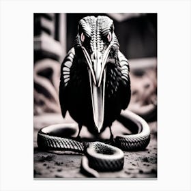Crow With Snake Canvas Print