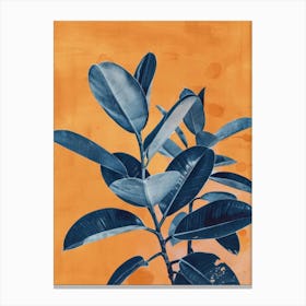 Orange And Blue Canvas Print