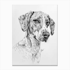 English Foxhound Dog Line Sketch 4 Canvas Print