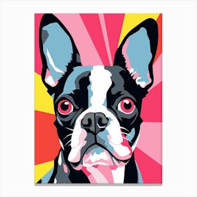 Bright Pop Art Boston Terrier 1 Canvas Print