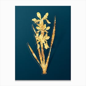Vintage Yellow Banded Iris Botanical in Gold on Teal Blue Canvas Print