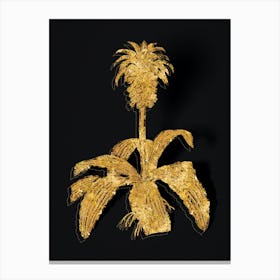 Vintage Eucomis Regia Botanical in Gold on Black n.0217 Canvas Print