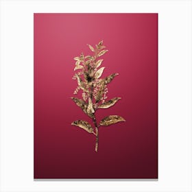 Gold Botanical Evergreen Oak on Viva Magenta n.2295 Canvas Print