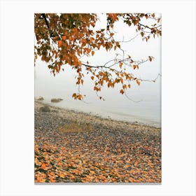 Autumn Leaves On The Beach Canvas Print