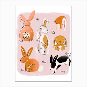 Rabbits    Canvas Print
