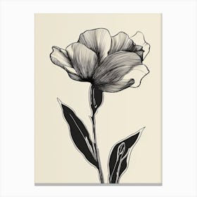 Gladioli Line Art Flowers Illustration Neutral 8 Canvas Print