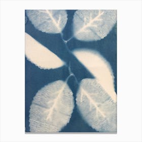 Leaves In Ink Canvas Print