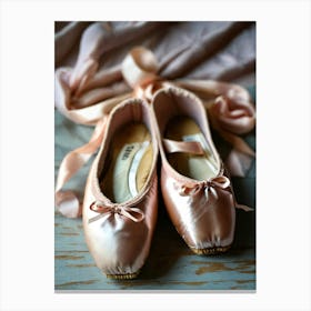 Ballet Shoes 1 Canvas Print