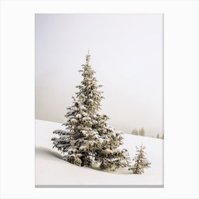 Snowy Pine Tree Canvas Print