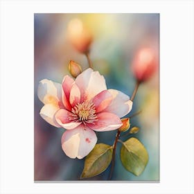 Magnolia Flower Canvas Print