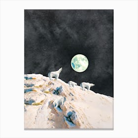 Polar Bears Canvas Print