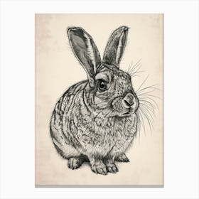 Chinchilla Blockprint Rabbit Illustration 9 Canvas Print