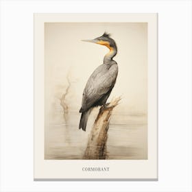 Vintage Bird Drawing Cormorant 3 Poster Canvas Print
