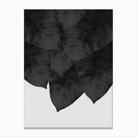 Banana Leaf Black & White II Canvas Print