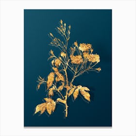 Vintage Pink Noisette Roses Botanical in Gold on Teal Blue Canvas Print
