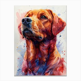 Golden Retriever 4 Canvas Print