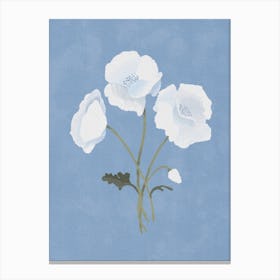 White On Blue Canvas Print