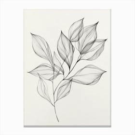 Leaf Drawing Canvas Print