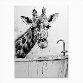 Giraffe In The Bath Pencil Drawing 1 Canvas Print