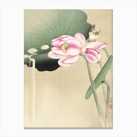 Songbird And Lotus (1900 1936), Ohara Koson Canvas Print