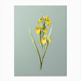 Vintage Irises Botanical Art on Mint Green n.0461 Canvas Print